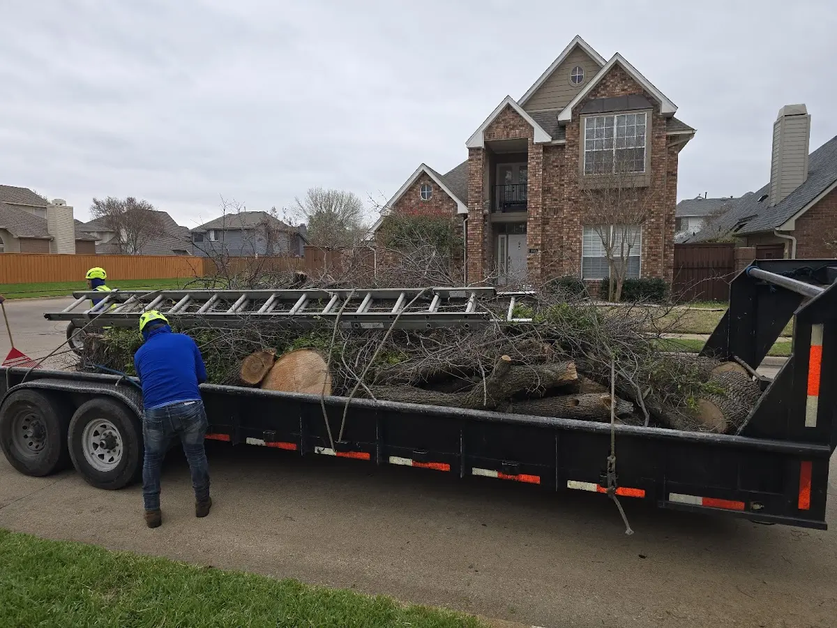Expert Tree Fertilization with proper safety equipment in Oldtown